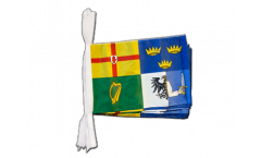 Fahnenkette Irland 4 Provinzen - 30 x 45 cm