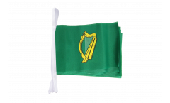 Fahnenkette Irland Leinster - 15 x 22 cm