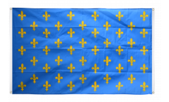Balkonflagge Frankreich Lilienwappen, blau - 90 x 150 cm