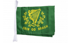Fahnenkette Irland Erin Go Bragh - 30 x 45 cm