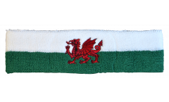 Stirnband Wales - 6 x 21 cm