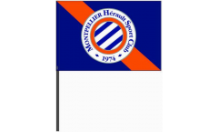 Stockflagge HSC Montpellier - 40 x 60 cm